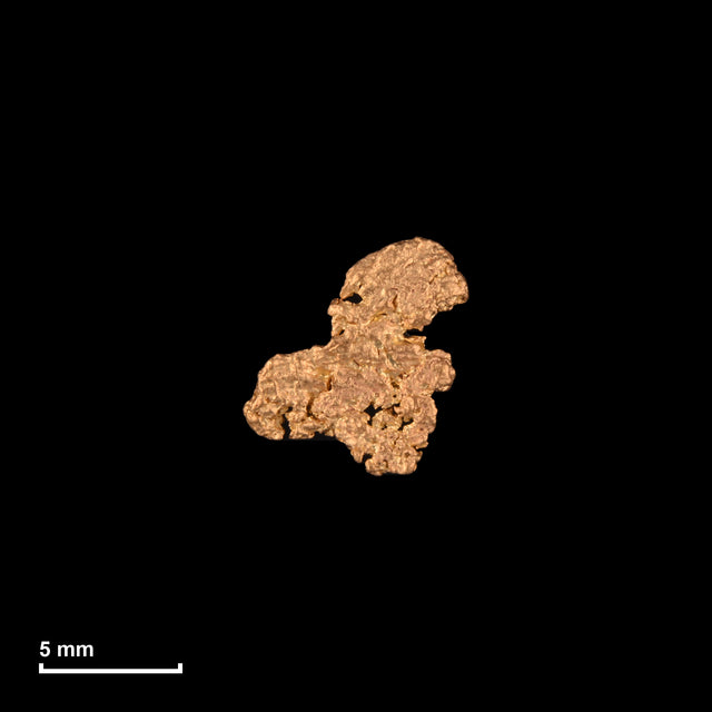 Goldnugget Nr. 26-0036 mit Maßstab: 8,4 × 7,9 mm bei 0,40 g