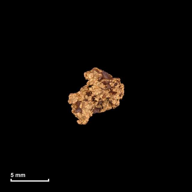 Goldnugget Nr. 26-0073 mit Maßstab: 7,5 × 7,4 mm bei 0,40 g