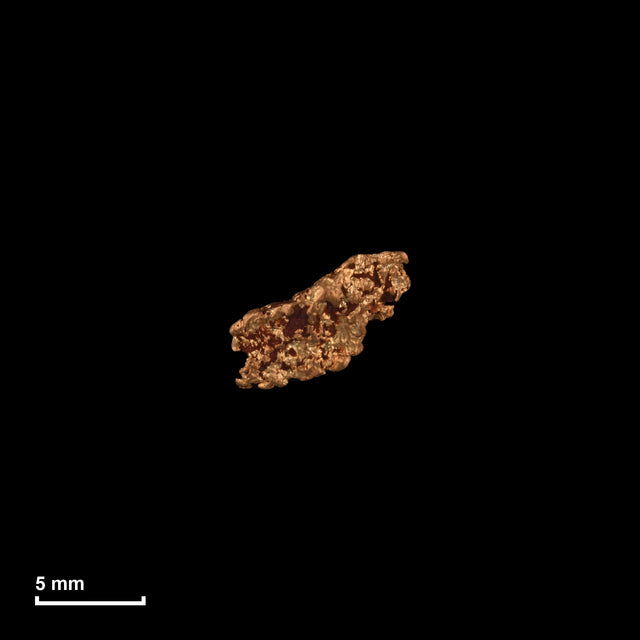 Goldnugget Nr. 26-0195 in tatsächlicher Größe – alle Nuggets im gleichen Maßstab aufgenommen