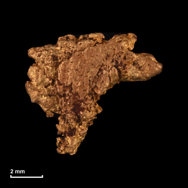 Goldnugget Nr. 26-0176 mit Maßstab: 8,4 × 7,5 mm bei 0,42 g