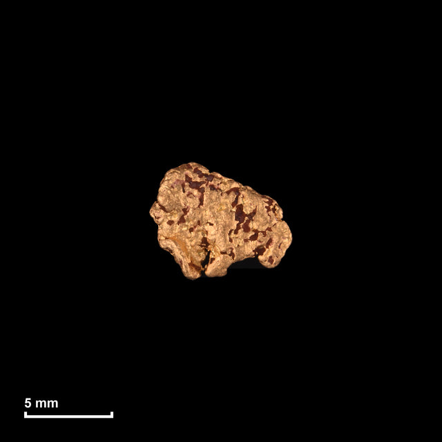 Goldnugget Nr. 26-0062 mit Maßstab: 7,9 × 6,5 mm bei 0,44 g