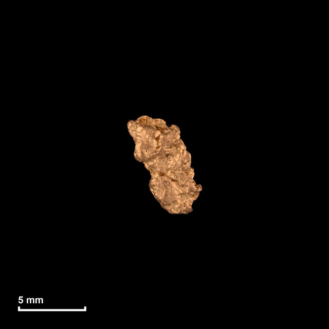 Goldnugget Nr. 26-0118 mit Maßstab: 7,2 × 5,5 mm bei 0,44 g