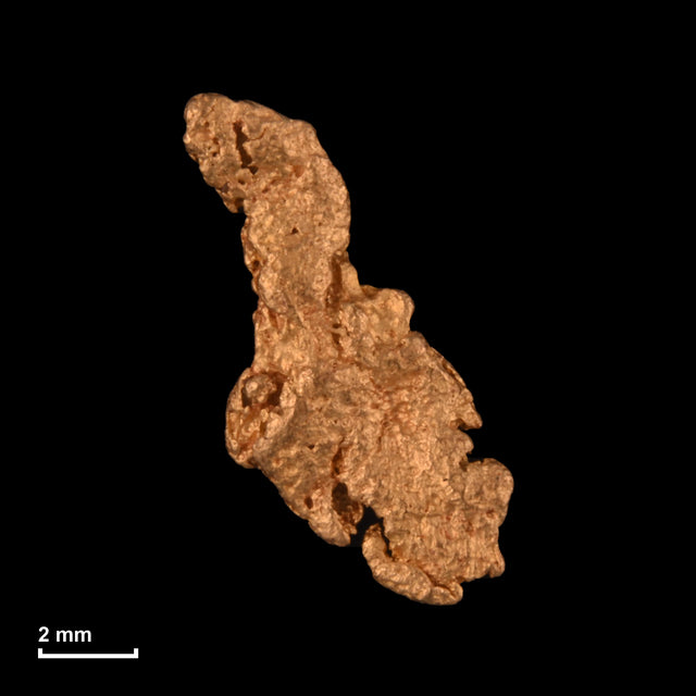 Goldnugget Nr. 26-0143 mit Maßstab: 10,3 × 6,6 mm bei 0,44 g
