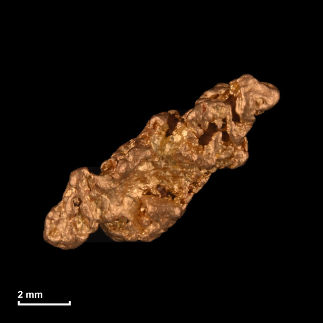 Goldnugget Nr. 26-0209 mit Maßstab: 8,9 × 6,6 mm bei 0,44 g