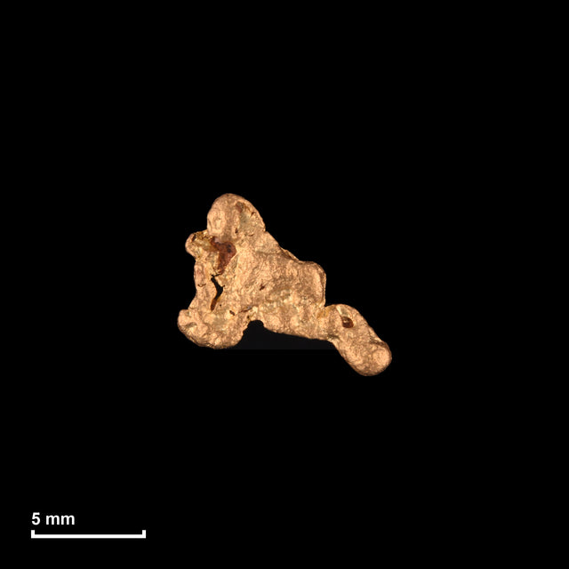 Goldnugget Nr. 26-0076 mit Maßstab: 9,4 × 8,0 mm bei 0,46 g