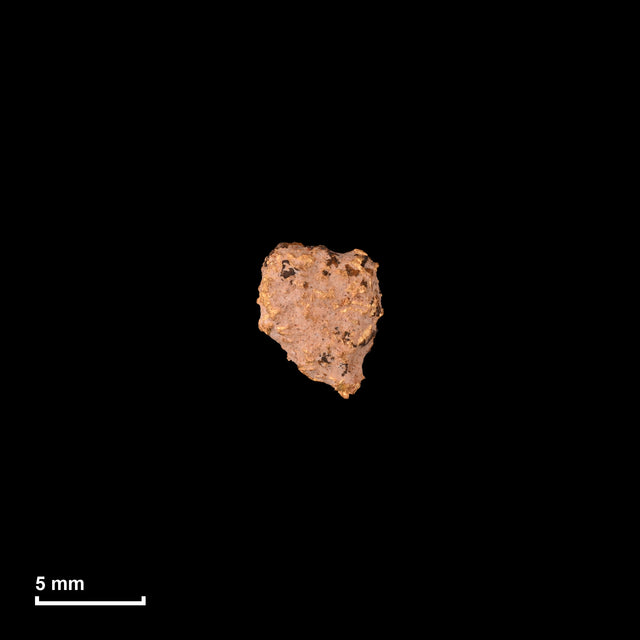 Goldnugget Nr. 26-0315 in tatsächlicher Größe – alle Nuggets im gleichen Maßstab aufgenommen
