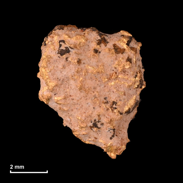 Goldnugget Nr. 26-0315 mit Maßstab: 7,1 × 5,8 mm bei 0,48 g