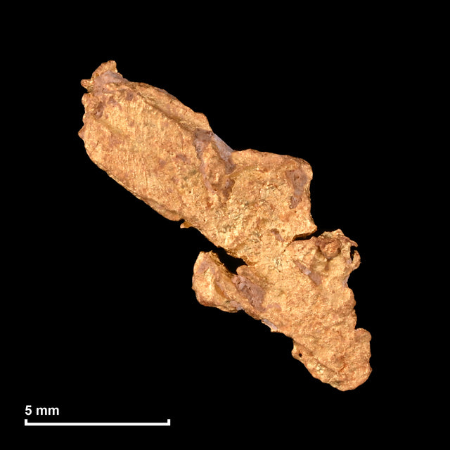 Goldnugget Nr. 26-0310 mit Maßstab: 11,4 × 10,1 mm bei 0,49 g