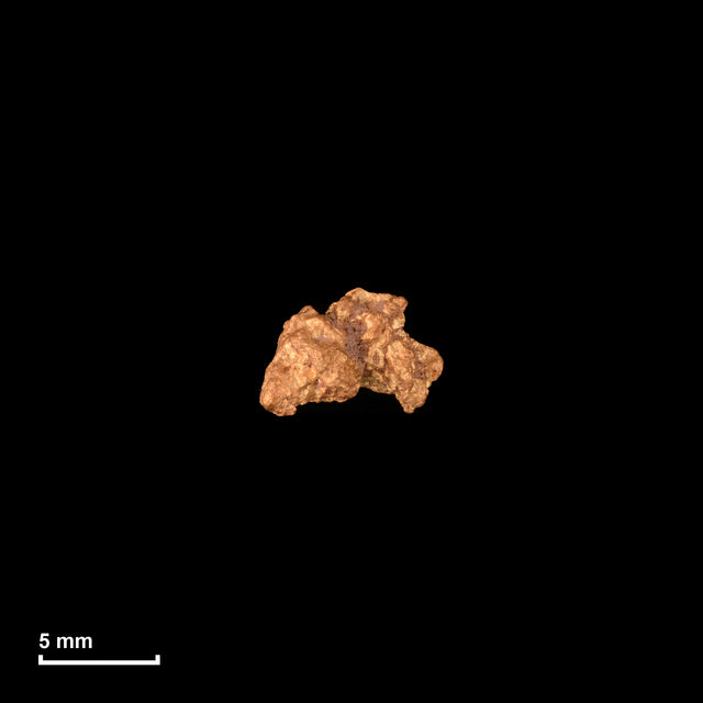 Goldnugget Nr. 26-0319 in tatsächlicher Größe – alle Nuggets im gleichen Maßstab aufgenommen