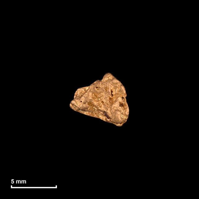 Goldnugget Nr. 26-0042 mit Maßstab: 6,4 × 5,8 mm bei 0,50 g