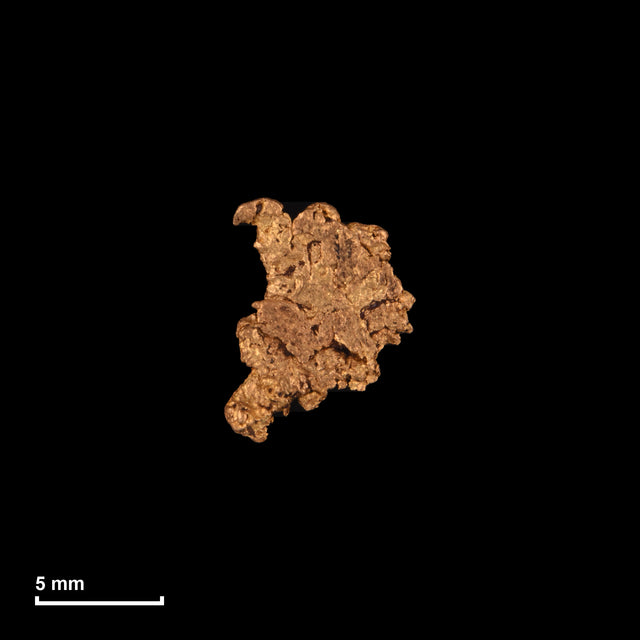 Goldnugget Nr. 26-0044 mit Maßstab: 9,5 × 7,4 mm bei 0,50 g