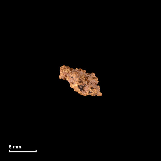 Goldnugget Nr. 26-0311 in tatsächlicher Größe – alle Nuggets im gleichen Maßstab aufgenommen
