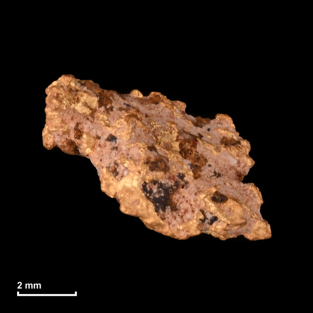 Goldnugget Nr. 26-0311 mit Maßstab: 7,7 × 5,6 mm bei 0,50 g