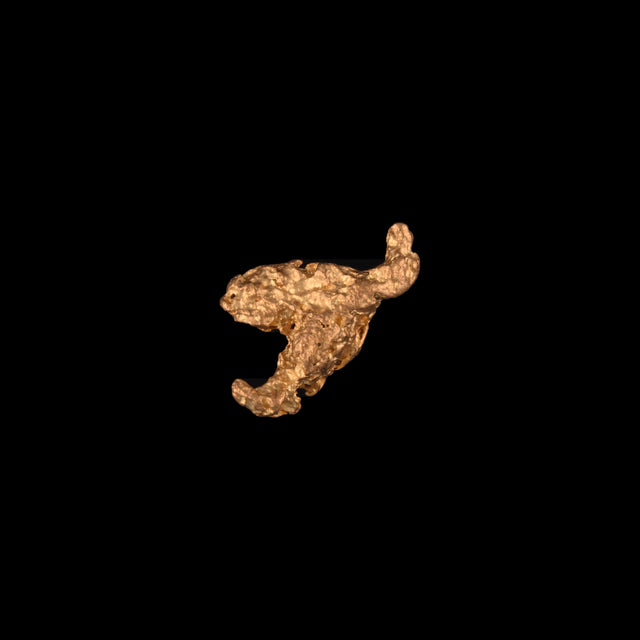 Goldnugget aus Australien, 0,51 g, Unikat Nr. 26-0041