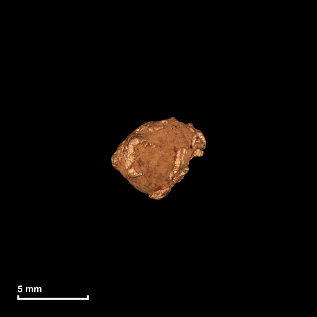 Goldnugget Nr. 26-0083 mit Maßstab: 6,5 × 5,7 mm bei 0,51 g
