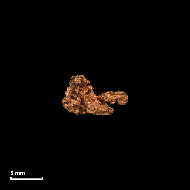 Goldnugget Nr. 26-0192 in tatsächlicher Größe – alle Nuggets im gleichen Maßstab aufgenommen