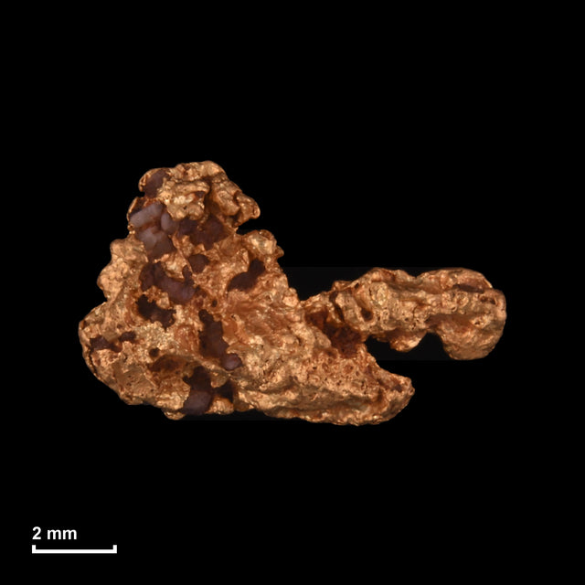Goldnugget Nr. 26-0192 mit Maßstab: 10,2 × 6,3 mm bei 0,51 g