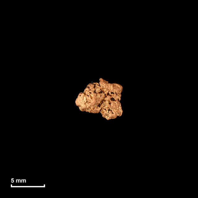 Goldnugget Nr. 26-0321 in tatsächlicher Größe – alle Nuggets im gleichen Maßstab aufgenommen