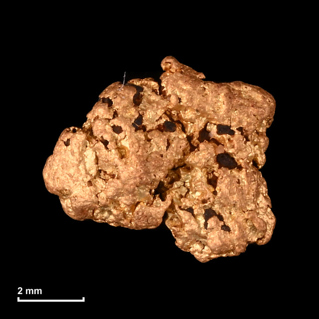 Goldnugget Nr. 26-0321 mit Maßstab: 7,0 × 6,2 mm bei 0,51 g