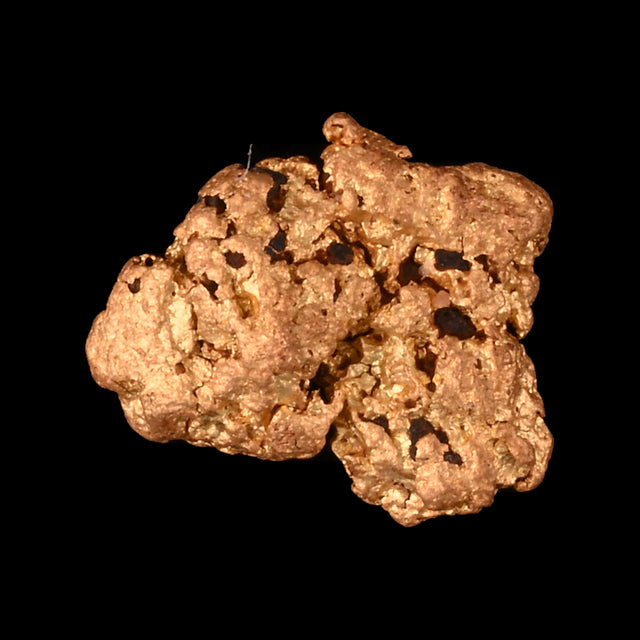 Goldnugget aus Leonora, Westaustralien, 0,51 g, Unikat Nr. 26-0321, freigestellt vor schwarzem Grund