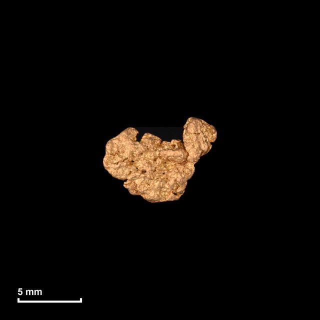 Goldnugget Nr. 26-0048 mit Maßstab: 8,7 × 6,6 mm bei 0,52 g