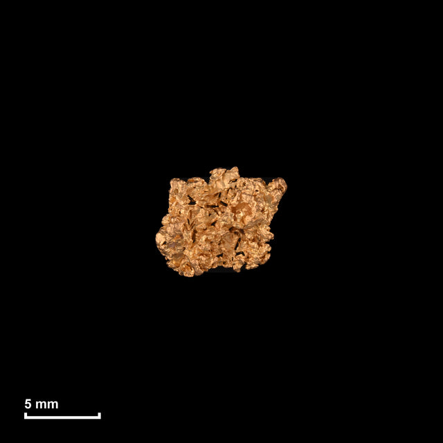Goldnugget Nr. 26-0122 in tatsächlicher Größe – alle Nuggets im gleichen Maßstab aufgenommen