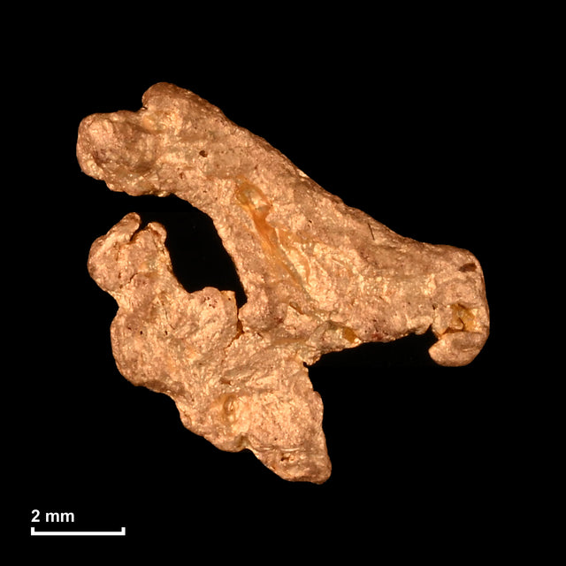 Goldnugget Nr. 26-0331 mit Maßstab: 8,8 × 8,6 mm bei 0,53 g