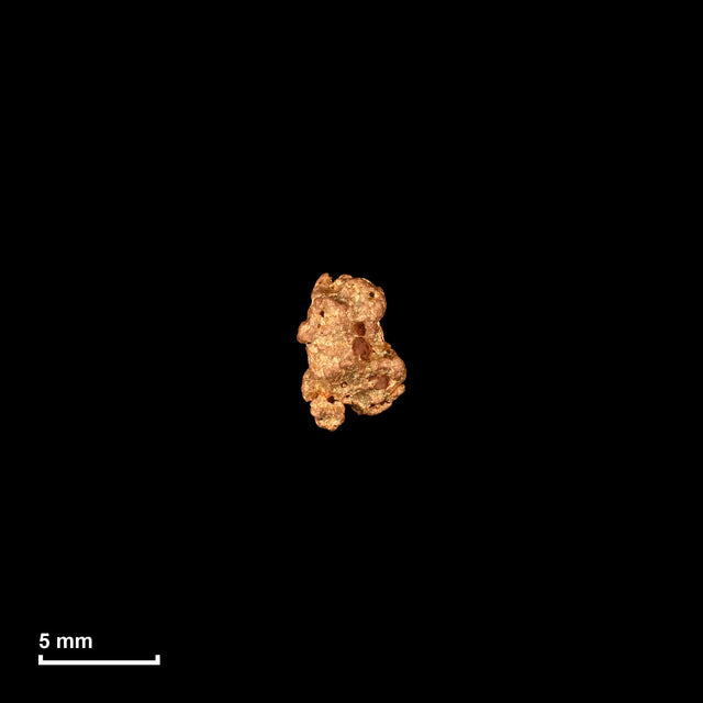 Goldnugget Nr. 26-0318 in tatsächlicher Größe – alle Nuggets im gleichen Maßstab aufgenommen