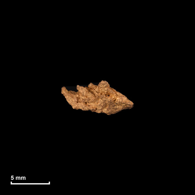 Goldnugget Nr. 26-0077 mit Maßstab: 9,2 × 4,4 mm bei 0,56 g