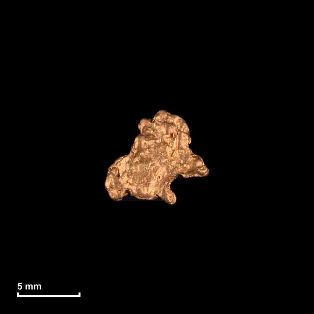 Goldnugget Nr. 26-0081 mit Maßstab: 8,2 × 7,4 mm bei 0,56 g