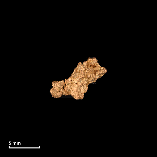 Goldnugget Nr. 26-0058 mit Maßstab: 8,9 × 6,6 mm bei 0,57 g