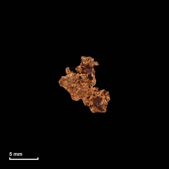 Goldnugget Nr. 26-0189 in tatsächlicher Größe – alle Nuggets im gleichen Maßstab aufgenommen