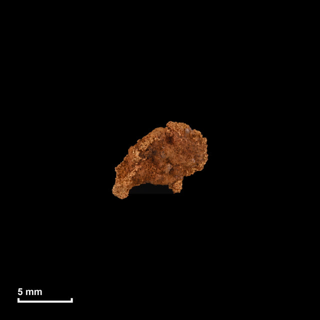 Goldnugget Nr. 26-0227 in tatsächlicher Größe – alle Nuggets im gleichen Maßstab aufgenommen