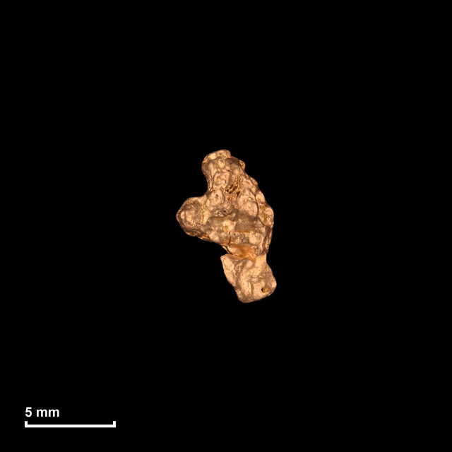 Goldnugget Nr. 26-0049 mit Maßstab: 8,4 × 5,6 mm bei 0,58 g