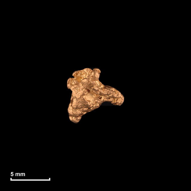 Goldnugget Nr. 26-0060 mit Maßstab: 7,1 × 6,8 mm bei 0,58 g