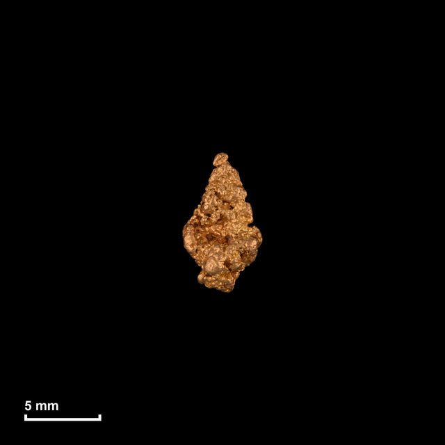 Goldnugget Nr. 26-0144 in tatsächlicher Größe – alle Nuggets im gleichen Maßstab aufgenommen