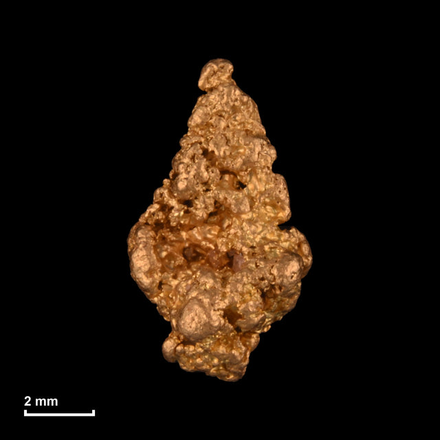 Goldnugget Nr. 26-0144 mit Maßstab: 9,1 × 5,3 mm bei 0,58 g
