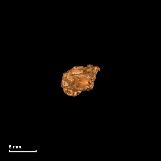 Goldnugget Nr. 26-0153 in tatsächlicher Größe – alle Nuggets im gleichen Maßstab aufgenommen
