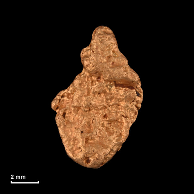 Goldnugget Nr. 26-0221 mit Maßstab: 10,1 × 6,6 mm bei 0,58 g