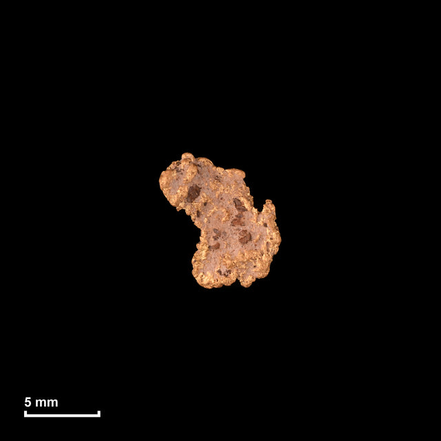 Goldnugget Nr. 26-0308 in tatsächlicher Größe – alle Nuggets im gleichen Maßstab aufgenommen