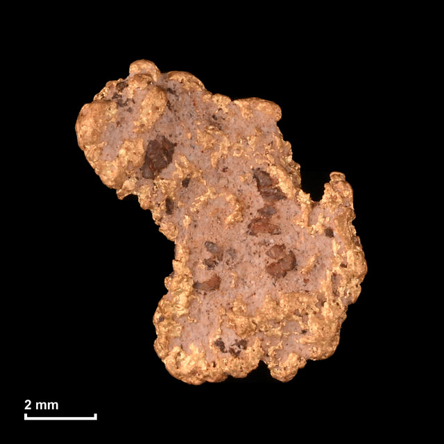 Goldnugget Nr. 26-0308 mit Maßstab: 9,0 × 8,1 mm bei 0,58 g