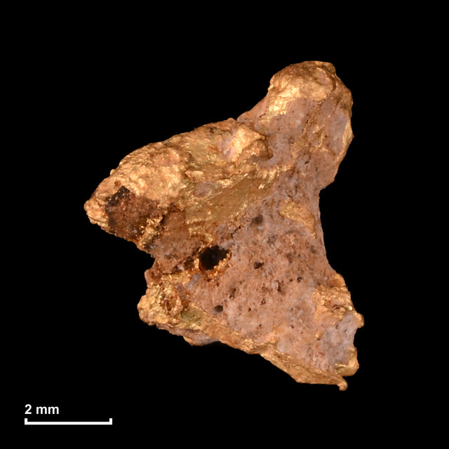 Goldnugget Nr. 26-0324 mit Maßstab: 7,5 × 6,4 mm bei 0,58 g