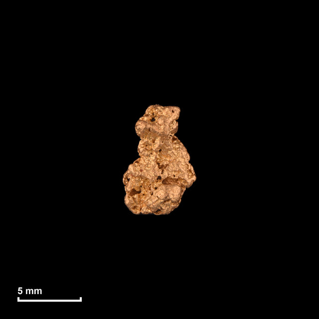 Goldnugget Nr. 26-0025 mit Maßstab: 8,4 × 5,6 mm bei 0,59 g