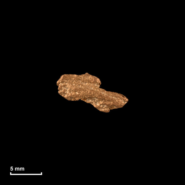 Goldnugget Nr. 26-0220 in tatsächlicher Größe – alle Nuggets im gleichen Maßstab aufgenommen