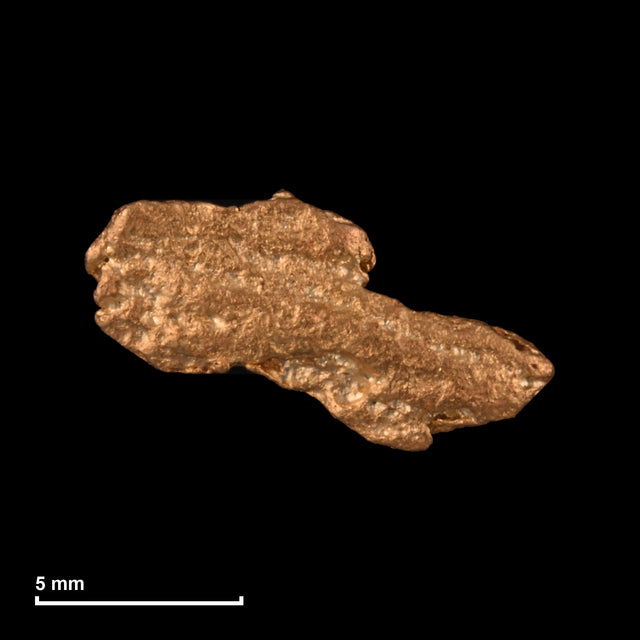 Goldnugget Nr. 26-0220 mit Maßstab: 11,3 × 6,3 mm bei 0,59 g