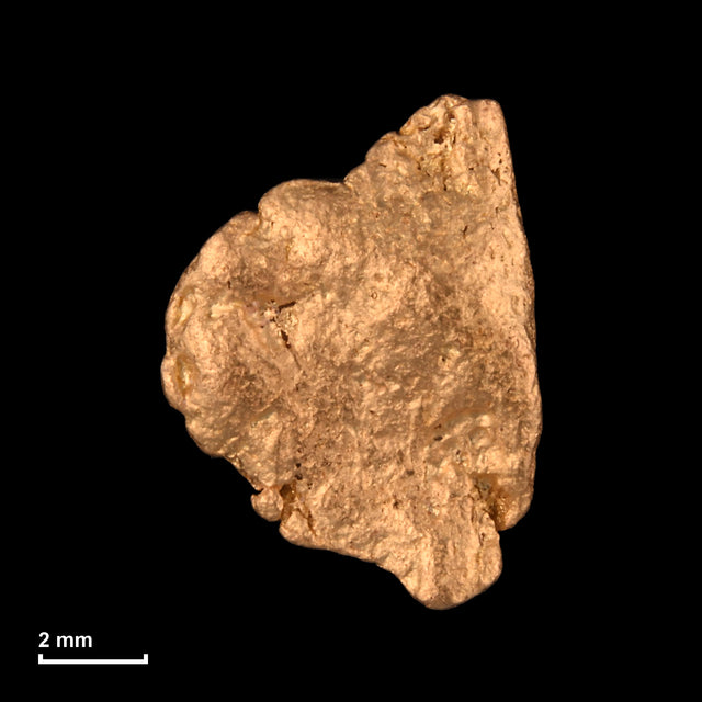 Goldnugget Nr. 26-0130 mit Maßstab: 9,4 × 7,0 mm bei 0,60 g