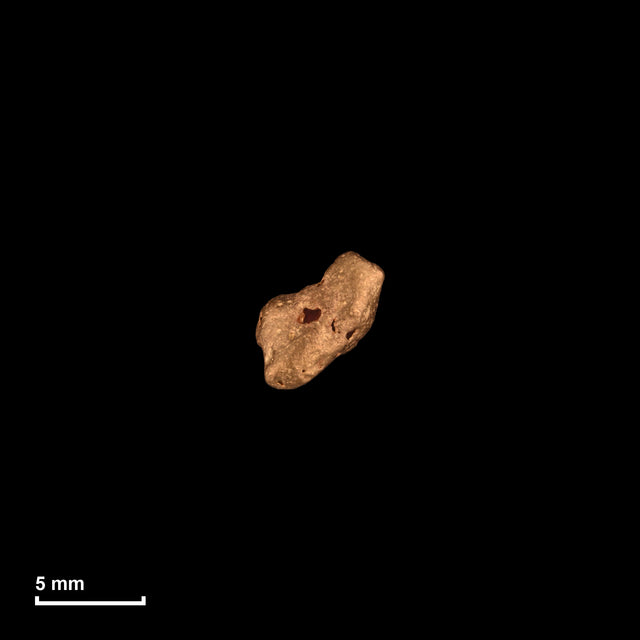 Goldnugget Nr. 26-0158 in tatsächlicher Größe – alle Nuggets im gleichen Maßstab aufgenommen