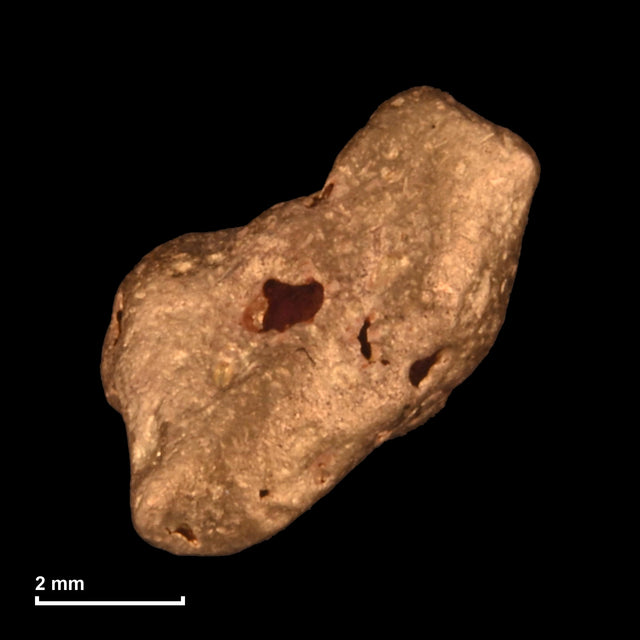 Goldnugget Nr. 26-0158 mit Maßstab: 6,3 × 5,9 mm bei 0,60 g