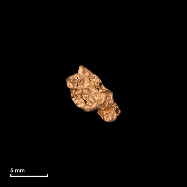 Goldnugget Nr. 26-0045 mit Maßstab: 7,6 × 7,3 mm bei 0,61 g