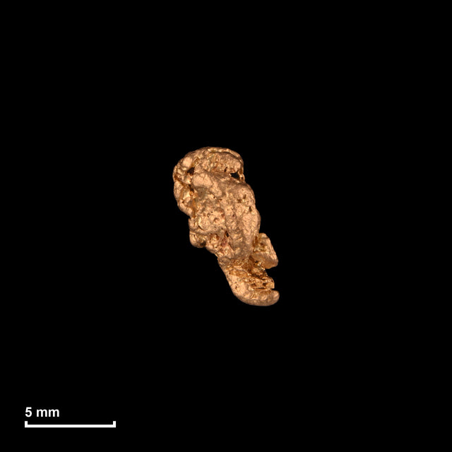 Goldnugget Nr. 26-0046 mit Maßstab: 8,6 × 5,7 mm bei 0,61 g